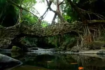 bhutan package tour from bagdogra