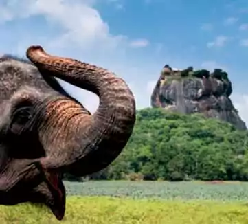Srilanka Package Tour From Kolkata with TA
